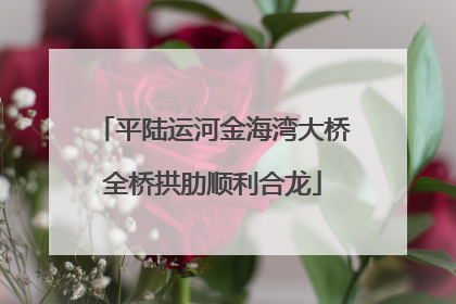 平陆运河金海湾大桥全桥拱肋顺利合龙