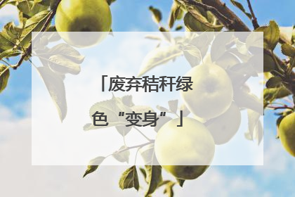 废弃秸秆绿色“变身”