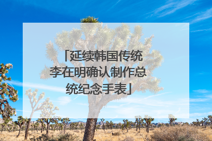 延续韩国传统 李在明确认制作总统纪念手表