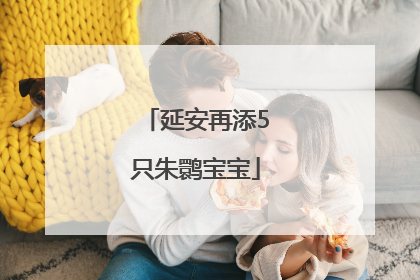 延安再添5只朱鹮宝宝
