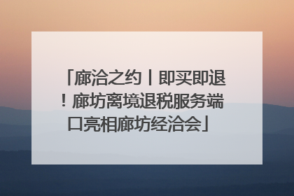 廊洽之约丨即买即退！廊坊离境退税服务端口亮相廊坊经洽会