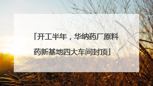开工半年，华纳药厂原料药新基地四大车间封顶