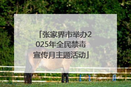 张家界市举办2025年全民禁毒宣传月主题活动