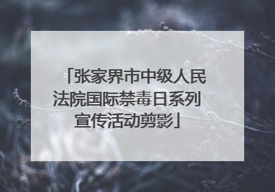 张家界市中级人民法院国际禁毒日系列宣传活动剪影