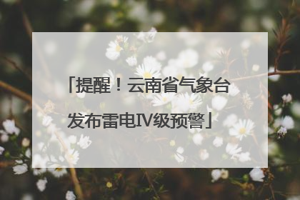 提醒！云南省气象台发布雷电Ⅳ级预警