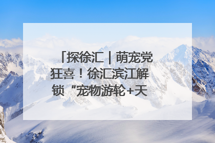 探徐汇｜萌宠党狂喜！徐汇滨江解锁“宠物游轮+天台乐园”双玩法