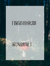 探访宣化郑家沟遗址