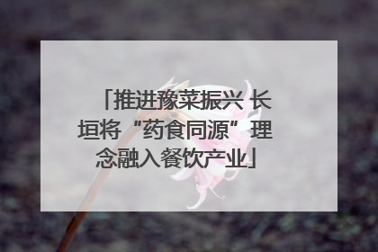 推进豫菜振兴 长垣将“药食同源”理念融入餐饮产业