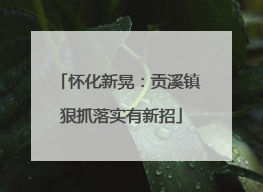 怀化新晃：贡溪镇狠抓落实有新招