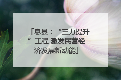 息县：“三力提升”工程 激发民营经济发展新动能