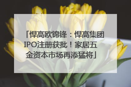 悍高欧锦锋：悍高集团IPO注册获批！家居五金资本市场再添猛将