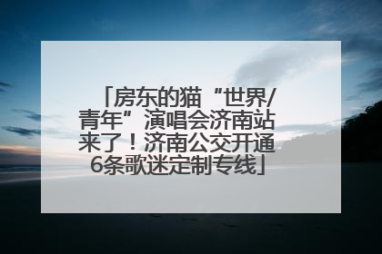 房东的猫“世界/青年”演唱会济南站来了！济南公交开通6条歌迷定制专线
