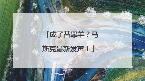 成了替罪羊？马斯克最新发声！