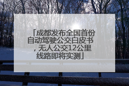 成都发布全国首份自动驾驶公交白皮书，无人公交12公里线路即将实测