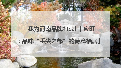 我为河南品牌打call丨应旺：品味“毛尖之都”的诗意栖居