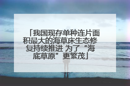 我国现存单种连片面积最大的海草床生态修复持续推进 为了“海底草原”更繁茂