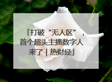 打破“无人区”，首个超头主播数字人来了｜热财经