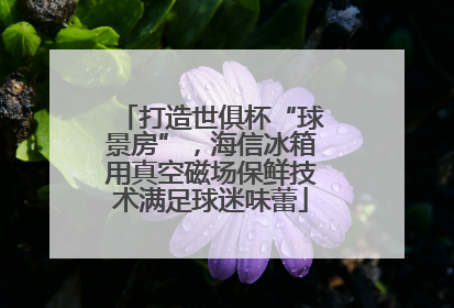 打造世俱杯“球景房”，海信冰箱用真空磁场保鲜技术满足球迷味蕾