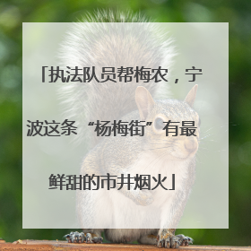执法队员帮梅农，宁波这条“杨梅街”有最鲜甜的市井烟火