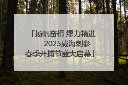 扬帆奋楫 缪力精进——2025威海刺参春季开捕节盛大启幕