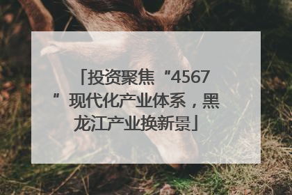 投资聚焦“4567”现代化产业体系，黑龙江产业换新景