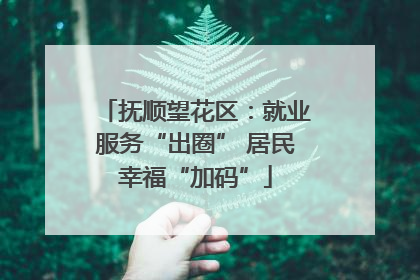 抚顺望花区：就业服务“出圈” 居民幸福“加码”