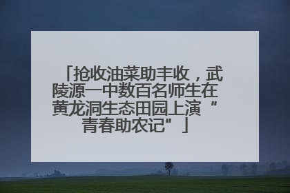 抢收油菜助丰收，武陵源一中数百名师生在黄龙洞生态田园上演“青春助农记”