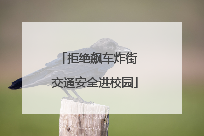 拒绝飙车炸街 交通安全进校园