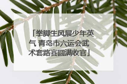 拳脚生风展少年英气 青岛市六运会武术套路赛圆满收官