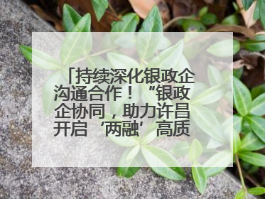 持续深化银政企沟通合作！“银政企协同，助力许昌开启‘两融’高质量发展新征程”融资对接会举行