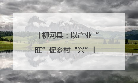 柳河县：以产业“旺”促乡村“兴”