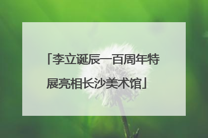 李立诞辰一百周年特展亮相长沙美术馆