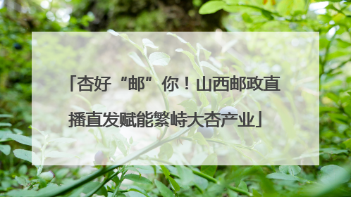 杏好“邮”你！山西邮政直播直发赋能繁峙大杏产业