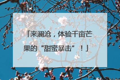 来澜沧，体验千亩芒果的“甜蜜暴击”！