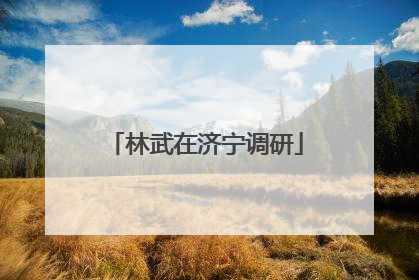 林武在济宁调研