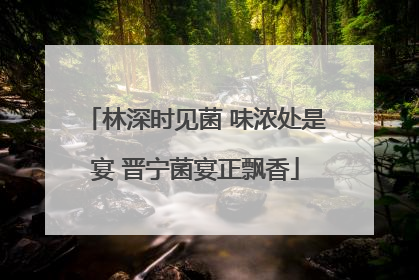 林深时见菌 味浓处是宴 晋宁菌宴正飘香