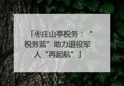 枣庄山亭税务：“税务蓝”助力退役军人“再起航”