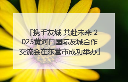 携手友城 共赴未来 2025黄河口国际友城合作交流会在东营市成功举办
