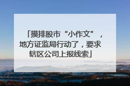 摸排股市“小作文”，地方证监局行动了，要求辖区公司上报线索