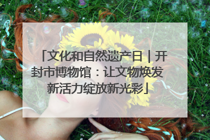 文化和自然遗产日｜开封市博物馆：让文物焕发新活力绽放新光彩
