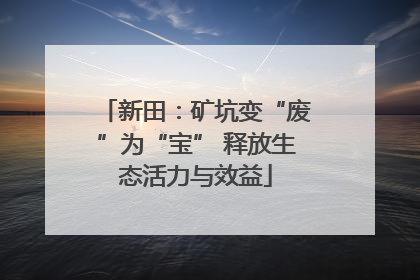 新田：矿坑变“废”为“宝” 释放生态活力与效益