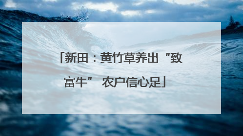 新田：黄竹草养出“致富牛” 农户信心足