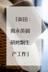 新田：黄永英调研烤烟生产工作
