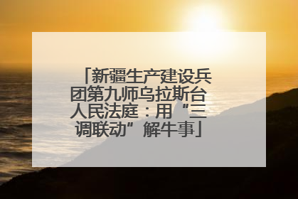 新疆生产建设兵团第九师乌拉斯台人民法庭：用“三调联动”解牛事
