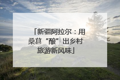新疆阿拉尔：用桑葚“酿”出乡村旅游新风味