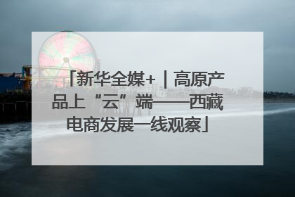 新华全媒+｜高原产品上“云”端——西藏电商发展一线观察