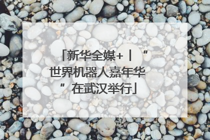 新华全媒+丨“世界机器人嘉年华”在武汉举行