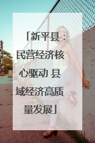 新平县：民营经济核心驱动 县域经济高质量发展