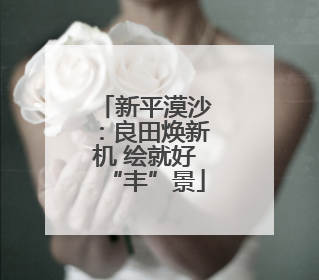 新平漠沙：良田焕新机 绘就好“丰”景
