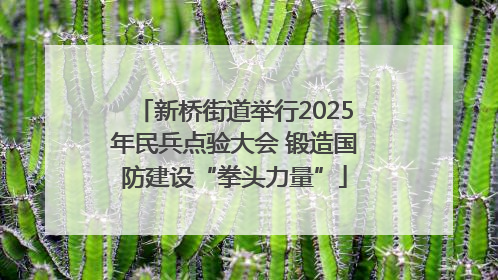 新桥街道举行2025年民兵点验大会 锻造国防建设“拳头力量”